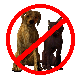 Pets Not Allowed