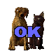 Pets Allowed